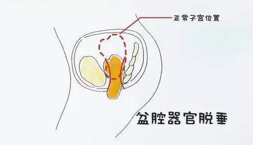 微信截圖_20240515154621.png