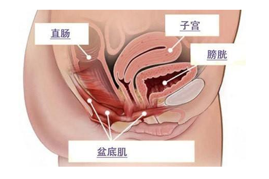 微信截圖_20220611160439.png