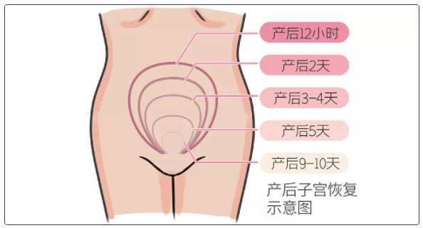 微信截圖_20211101155019.png